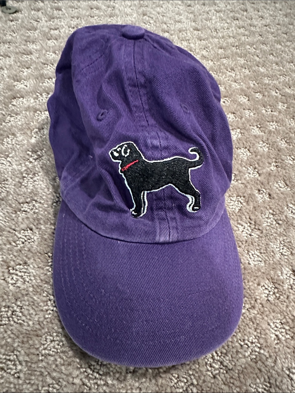 The Black Dog Purple Baseball Cap with Black Dog Patch